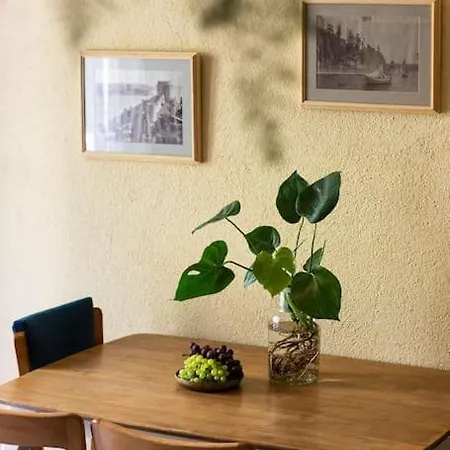 Apartment Merkezde Bahce Kullanimli